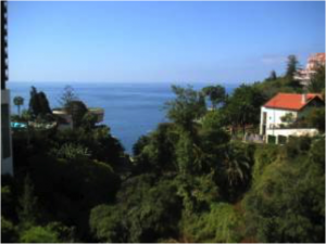 Madeira1