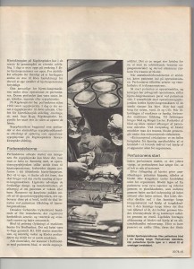 Artikel side 2